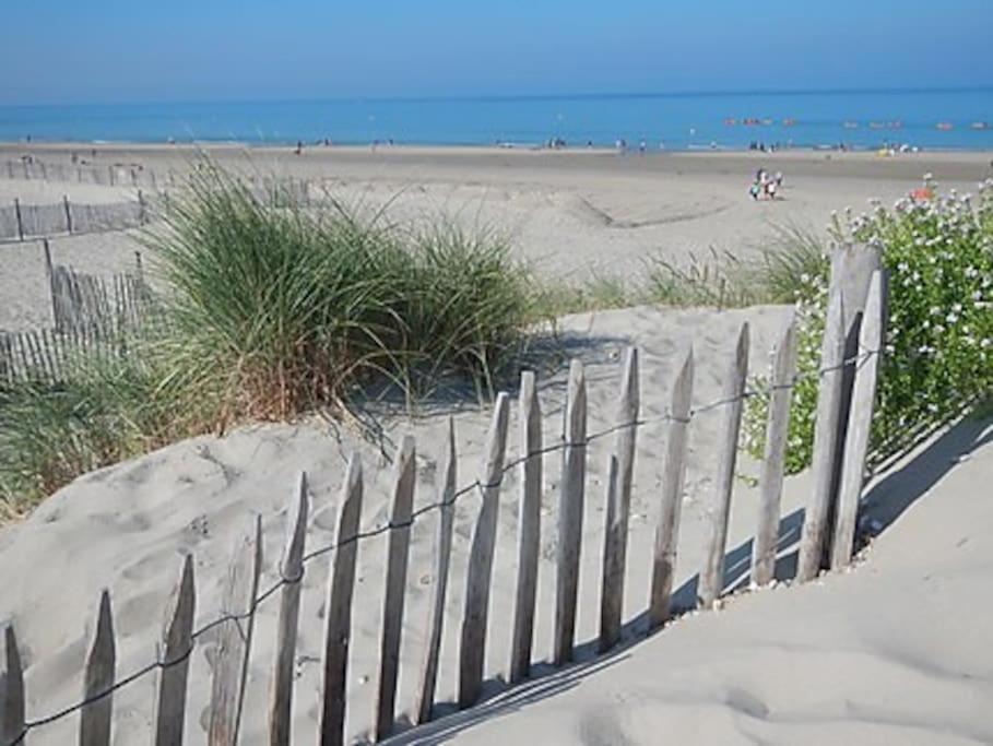 Logement A Deux Pas De La Plage Et Des Commerces Le Tréport Buitenkant foto